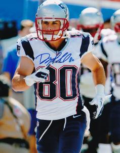 Signed Danny Amendola #80 New England Patriots Picture - 16x20