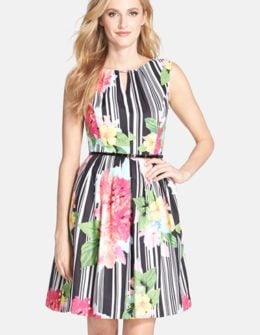 Ellen Tracy Belted Floral Print Cotton Fit & Flare Dress in Black, Pink Multi