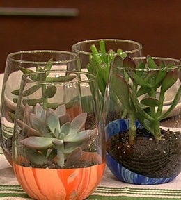 Clinton Kelly shows us how to make beautiful succulent holders and DIY shell candles during his Clinton's Craft Corner segment on the Friday, June 26, 2015 episode of "The Chew"!