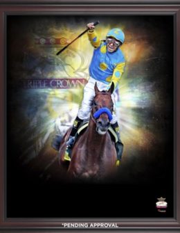 Fanatics Authentic American Pharoah Framed 20'' x 24'' Triple Crown Winner In Focus Photograph
