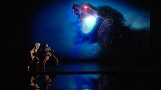 America's Got Talent season 10 episode 8: Judge Cuts. Freelusion Dance Company adds a new chapter to a visually stunning story.