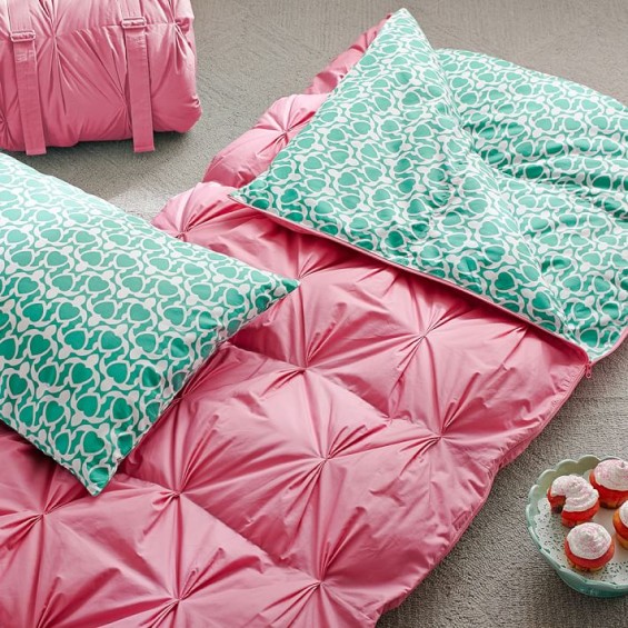 Pottery Barn Teen Cape Cod Sleeping Bag + Pillowcase, Turtle