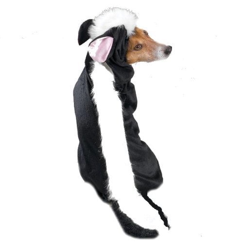 Casual Canine Lil' Stinker Skunk Dog Costume, Small (fits lengths up to 12"), Black/White