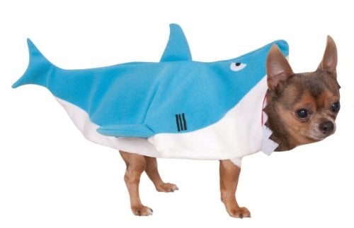 Rubies Costume Company Shark Pet Costume in Blue and White halloween costumes for small dogs