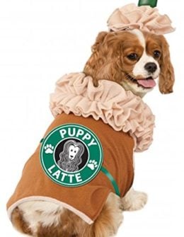 Rubies Costume Iced Coffee Puppy Latte Pet Costume in Small Halloween costume