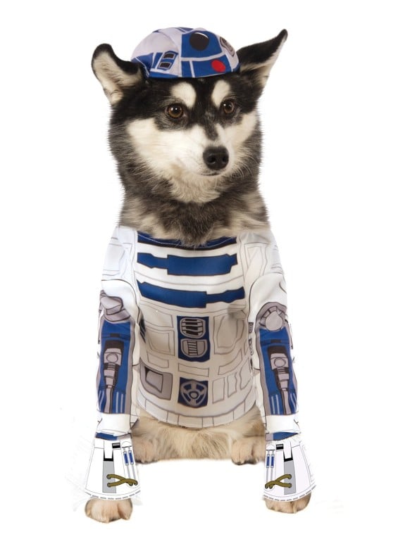 Rubies Costume Star Wars R2-D2 Pet Costume
