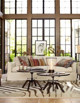 ZEBRA PRINTED RUG. Pottery Barn