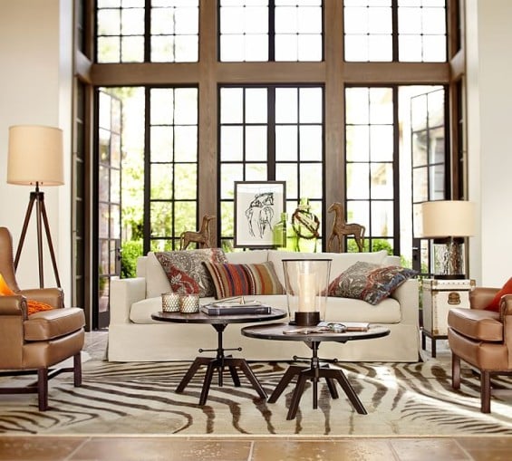 ZEBRA PRINTED RUG. Pottery Barn