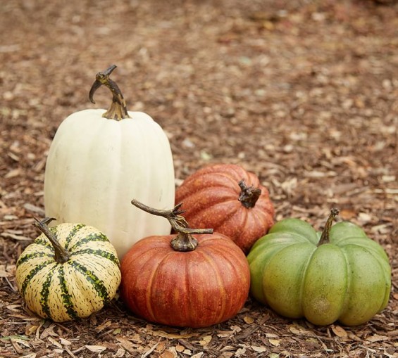 FAUX PUMPKINS. Pottery Barn