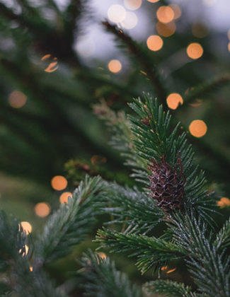 Today's Homeowner host Danny Lipford and his daughter home improvement expert, Chelsea joined journalist and blogger Candace Rose Anderson of the website Candie Anderson to share their best holiday DIY tips for homeowners.