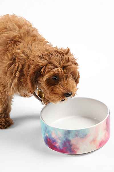 Caleb Troy For DENY Yin-Tang Painted Clouds Pet Bowl Set in Sky