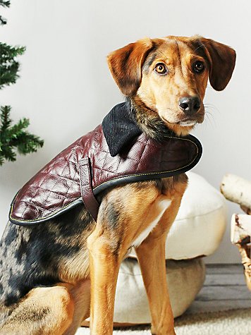 Quilted Leather Dog Jacket