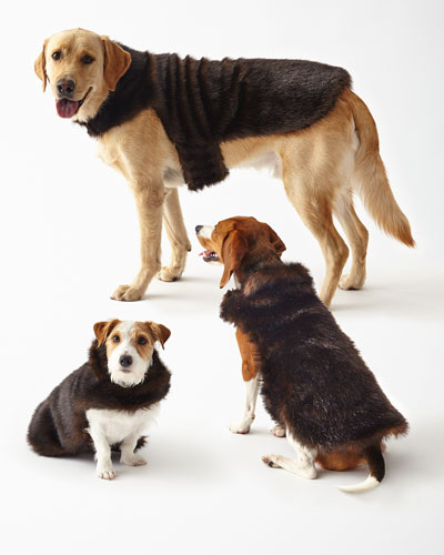 Truly NM Faux Fur Dog Coats (As Seen On The Today Show) in Dark Brown. Also Available in Various Sizes!