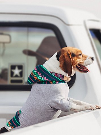 Pinnacle Spirit Dog Hoodie Style: 32255952