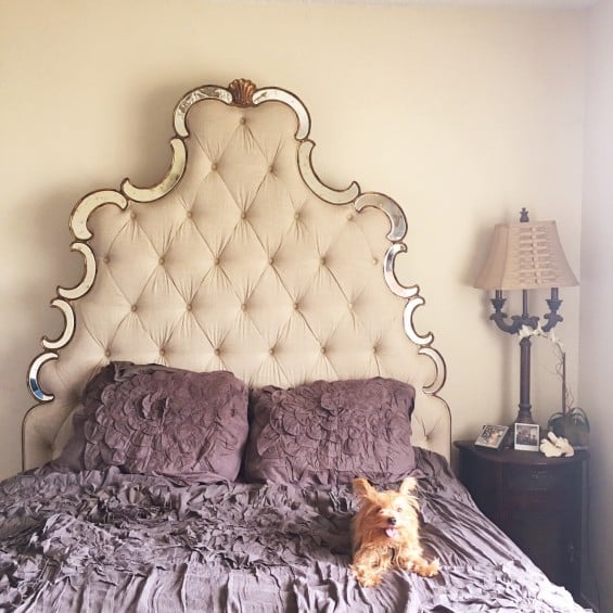 My beautiful upholstered mirrored Bristol bed and precious Yorkie, Francesca! You can save 25% on this bed for a limited time at Horchow.