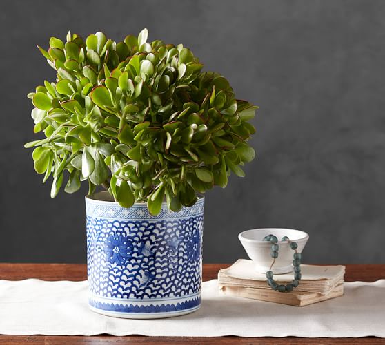 BLUE LOTUS CACHEPOT Pottery Barn spring friends and family event
