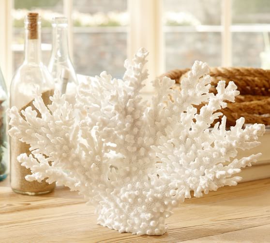 WHITE SPIKE CORAL Pottery Barn