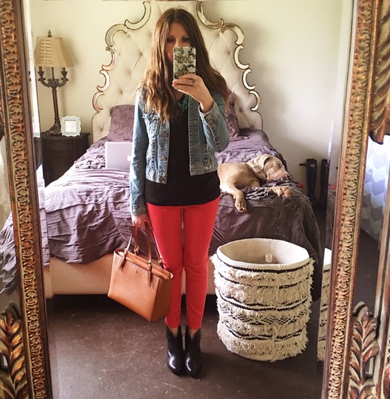 Fred loves my upholstered bed with mirrored bed! I (Bedroom details: bedding, Moroccan wedding blanket hamper/basket, AG jeans, Tory Burch bag, mirror, Oops a Daisy iPhone 6s Plus case, Rag & Bone ankle boots, ring). Weimaraner Fred Hooker Furniture Upholstered Bed Mirrored Trim Bristol Horchow