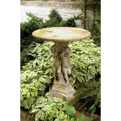 Bella Bimmbi Bird Bath by OrlandiStatuary birdbaths garden patio summer