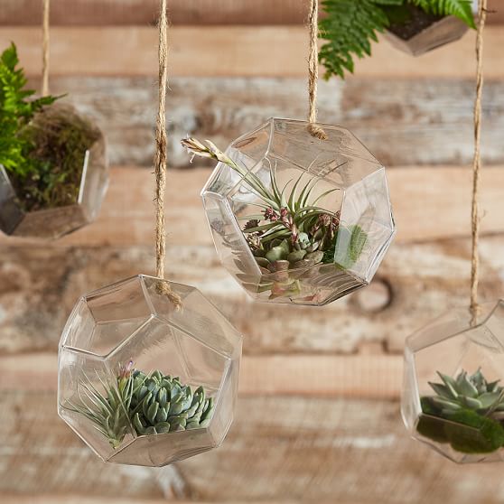 Pottery Barn Teen Hanging Glass Terrarium pottery barn teen 20% off sale