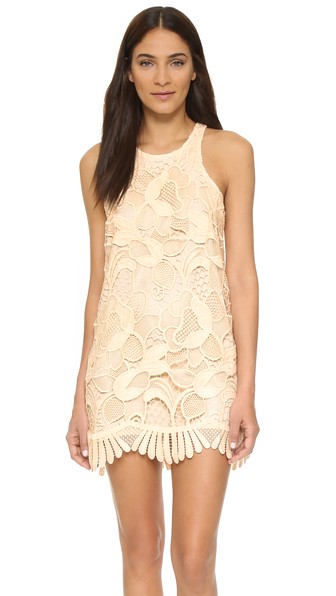 Lovers + Friends Caspian Lace Shift Dress Bone lace dresses summer casual