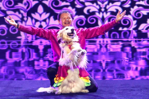  Watch America's Got Talent Season 11 Episode 10 Videos, Tuesday, July 19, 2016: See Jose and his adorable dancing golden retriever Carrie (age 58, 12) of Santiago, Chile dance the merengue! How amazing is this dog? Love her little costume!