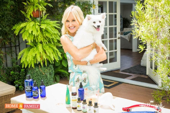 Mark Steines and Debbie Matenopoulos welcome TV host and author of “Fierce Optimism,” Leeza Gibbons. SYFY’s “Sharknado: The 4th Awakens” actor, Tommy Davidson joins us. Cara Mangini, the author of “The Vegetable Butcher,” is making Turkish carrot yogurt dip. Monty Hutson, U.S. Army veteran and founder of For Veterans Sake Foundation is here with Air Force veteran Julie Hollowell and service dogs. DIY Star Finalist Kristen Joy makes a DIY picture night light. Sophie Uliano has natural DIY solutions to get rid of dogs’ fleas. Lawrence Zarian shares the rules for returning clothing. Learn how to create DIY personalized mugs with Paige Hemmis. Kym Douglas shows you how to beat the heat this summer. Credit: Copyright 2016 Crown Media United States, LLC/Photographer: jeremy lee/Alexx Henry Studios, LLC