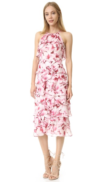 Shoshanna Maggie Dress Port Multi shopbop floral print dresses candace rose