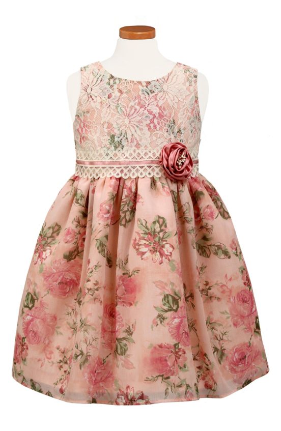 Sorbet 'Blush' Floral Chiffon Dress (Toddler Girls & Little Girls) Pink Rose Print dresses for toddler girls back to school preschool