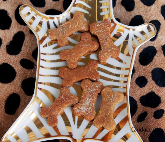 Candace Rose dog loves Lindy & Company Gourmet Pet Treats Pumpkin Pie dog biscuits