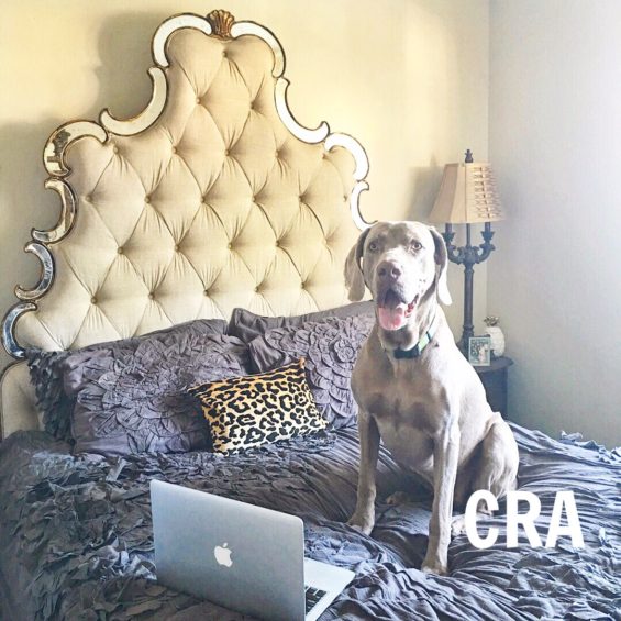 hooker furniture bristol bed neiman marcus candace rose blog candieanderson