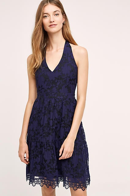 HD in Paris Celeste Lace Dress Navy Blue lace dresses fall wedding guest