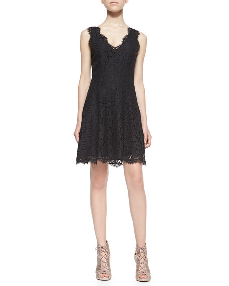 Joie Nikolina Sleeveless Lace A-Line Dress Black lace dresses fall wedding guest 