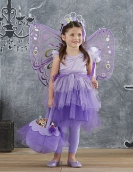Pottery Barn Kids Toddler Butterfly Fairy Tutu Costume pottery barn kids halloween costumes