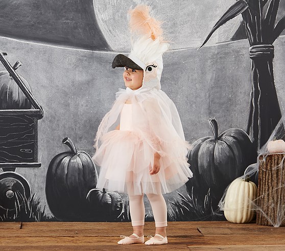 Pottery Barn Kids Toddler Cockatoo Costume pottery barn kids halloween costumes