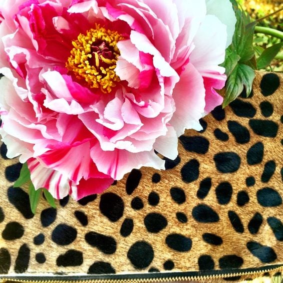 candace rose fashion blog Clare V leopard print clutch and peonies. Shopbop candie anderson