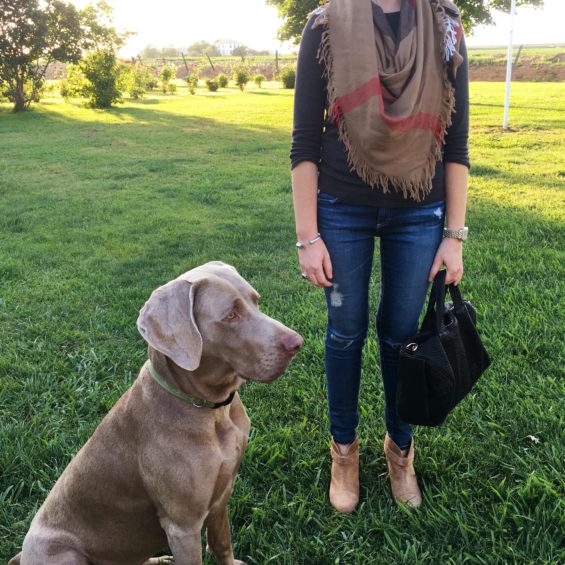 candace rose wears three dots british 3/4 length shirt, AG ankle legging jeans, Rag & Bone Harrow boots candie anderson blog shopbop event of the season sale