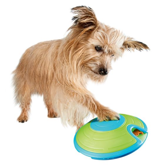 Petco Nina Ottosson Dog Treat Maze Small petco cyber monday sale