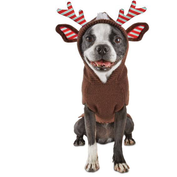 Time for Joy Brown Reindeer Dog Hoodie, Large Petco cyber monday sale