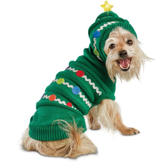 Time for Joy Christmas Tree Dog Hoodie, Small Petco cyber monday sale