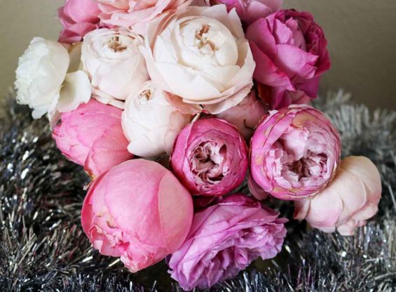 Pink garden roses and a silver tinsel wreath for New Year's Day!