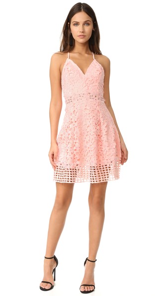 Lovers + Friends Bellini Lace Dress Veiled Rose lace sheath dresses spring wedding guest season