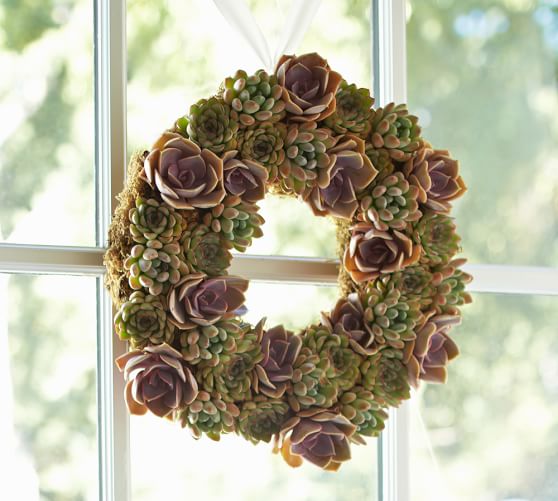 Pottery Barn LIVE SUCCULENT WREATH pottery barn friends and family sale