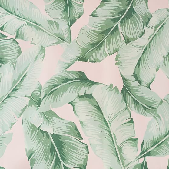The Emily & Meritt Palm Leaf Surestrip Wallpaper Emily Meritt Collection for PBteen