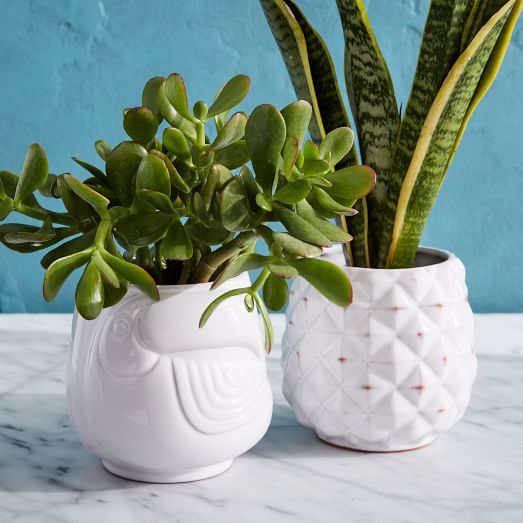 West Elm Ceramic Tropical Planters Toucan Pineapple White Terracotta west elm buy more save more sale