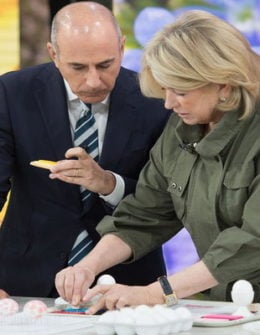 Watch Martha Stewart show Matt Lauer and Savannah Guthrie how to make daffodil place cards, a spring inspired watercolor table runner, stamped Easter eggs, and chick eggs on the Friday, April 14, 2017 episode of the Today show.