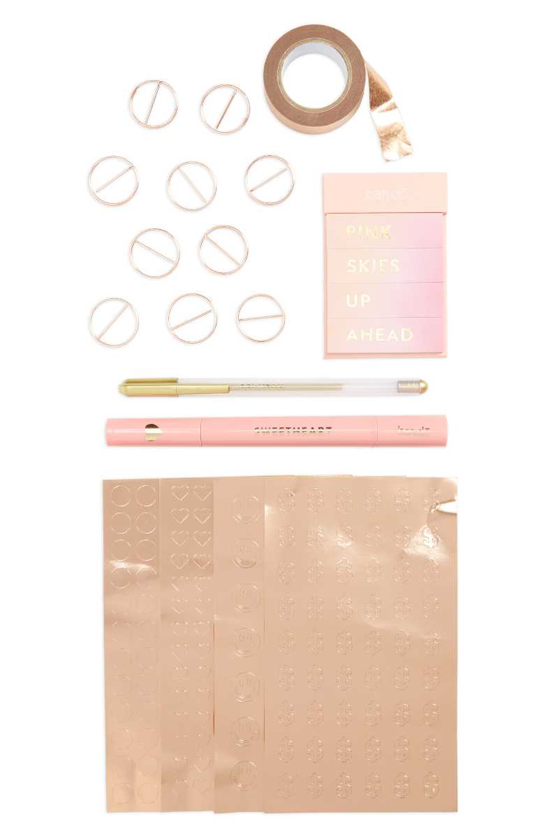 BAN.DO Agenda Starter Pack Pink 2017 2018 17 month planners