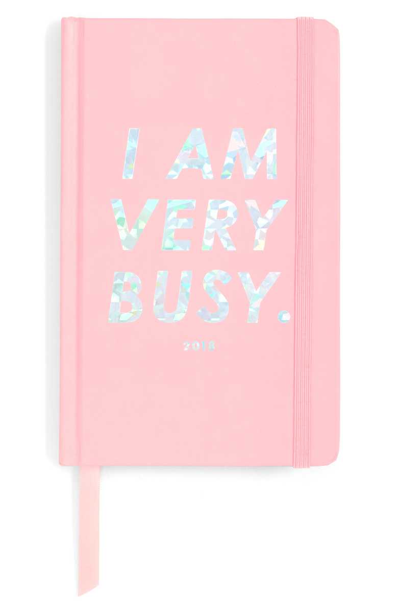 BAN.DO I Am Very Busy 2018 17-Month Hardcover Agenda pink 2018 17 month planners