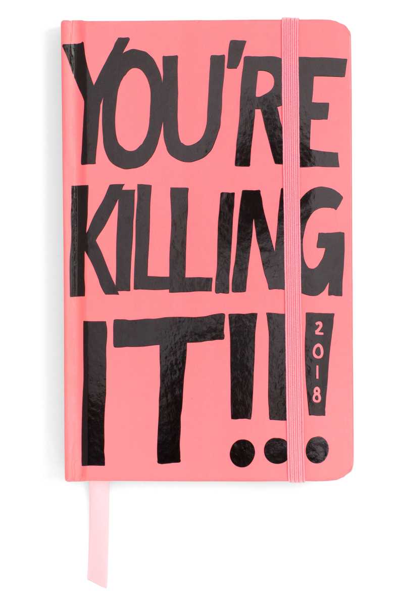 BAN.DO You're Killing It 2018 17-Month Hardcover Agenda Pink 2018 17 month agendas and planners