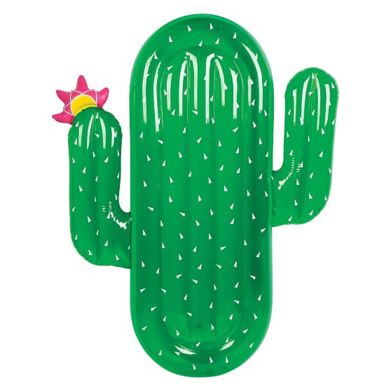 Sunnylife Cactus Pool Float PBteen 25% sale